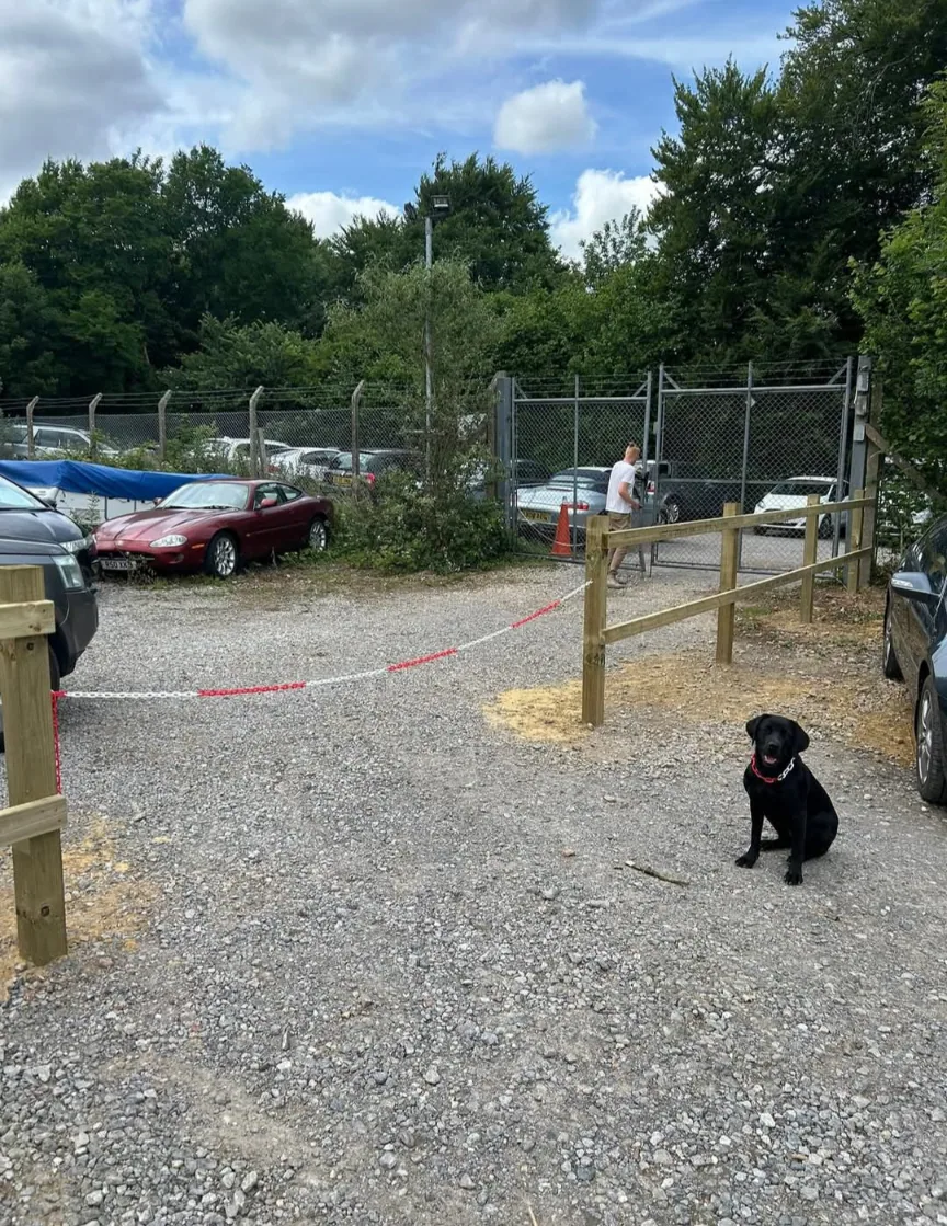 Exterior upkeep week