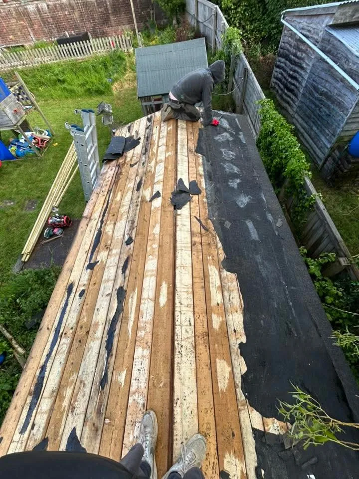 Metal Box Profile Roof Upgrade